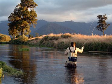 Sea and River Fishing